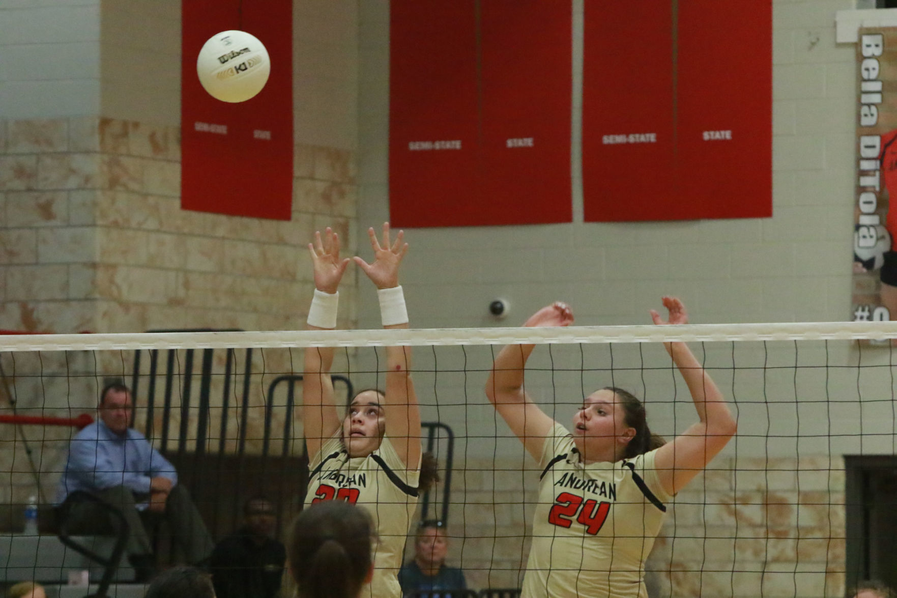 Gallery: Girls volleyball - Wheeler at Andrean